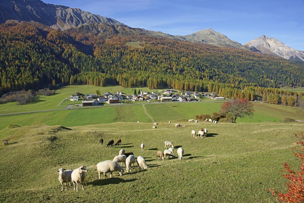 Hotel Landgasthof Staila Fuldera Экстерьер фото